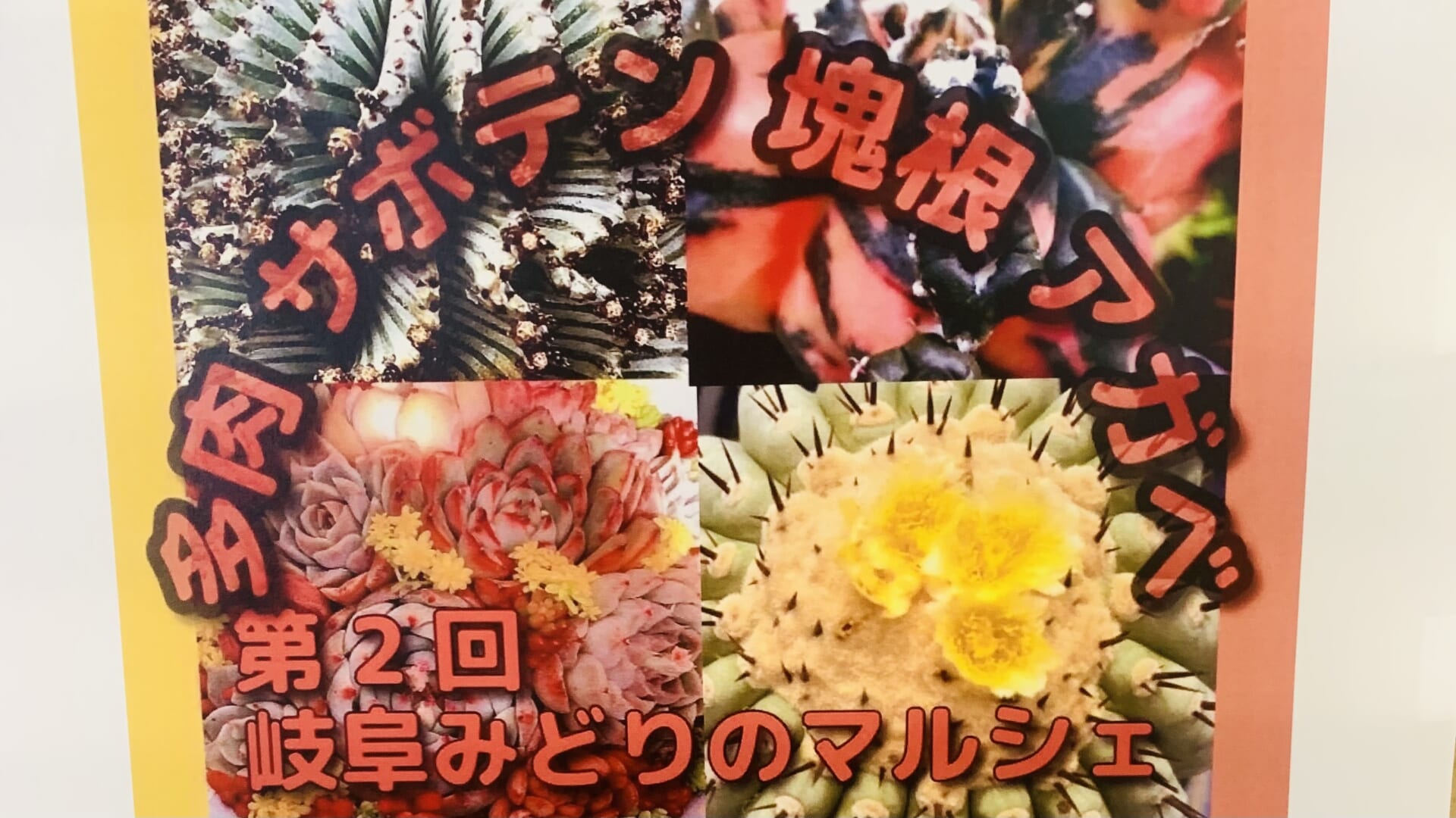 道の駅パレットピアおおので開催された第2回みどりのマルシェのチラシ